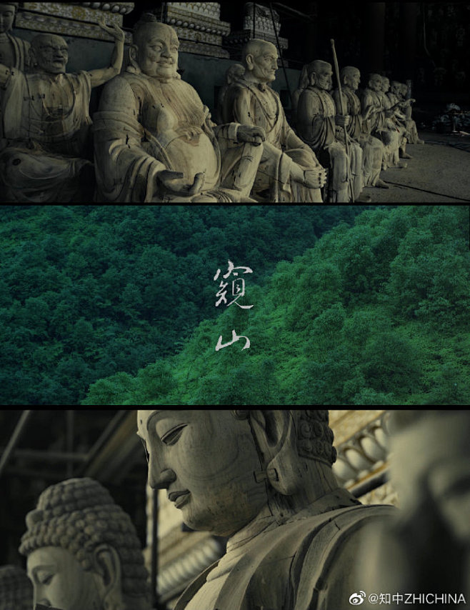 反套路长评专栏